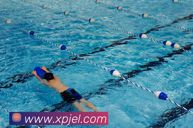 新葡京娱乐城品牌故事