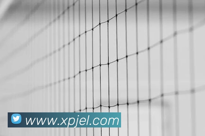 新葡京娱乐城服务体系